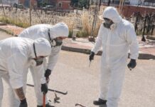 El Ayuntamiento de Bailén está ejecutando una desinsectación de choque y control de plagas intensiva