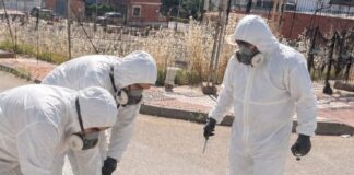 El Ayuntamiento de Bailén está ejecutando una desinsectación de choque y control de plagas intensiva
