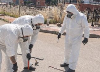 El Ayuntamiento de Bailén está ejecutando una desinsectación de choque y control de plagas intensiva