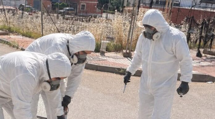 El Ayuntamiento de Bailén está ejecutando una desinsectación de choque y control de plagas intensiva