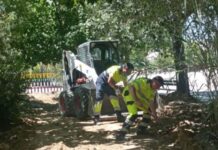 El Ayuntamiento de Linares transforma el arroyo artificial del recinto ferial para reforzar la prevención frente al Virus del Nilo Occidental