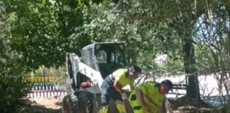 El Ayuntamiento de Linares transforma el arroyo artificial del recinto ferial para reforzar la prevención frente al Virus del Nilo Occidental