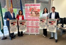 Linares acogerá el 11 de julio una novillada de promoción del XXXII Ciclo de la Asociación Andaluza de Escuelas de Tauromaquia ‘Pedro Romero’