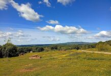 Seguimos con elevadas temperaturas que nos deja la Ola de Calor