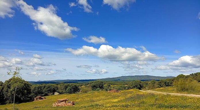 Seguimos con elevadas temperaturas que nos deja la Ola de Calor