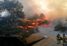 La Junta eleva el Plan Infoca a fase de emergencia por un incendio en Santa Elena