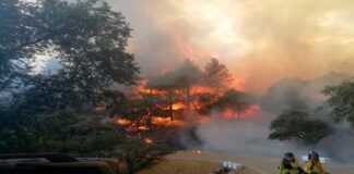 La Junta eleva el Plan Infoca a fase de emergencia por un incendio en Santa Elena