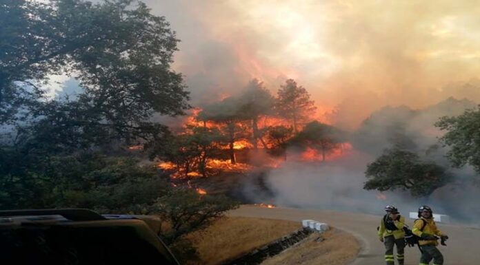 La Junta eleva el Plan Infoca a fase de emergencia por un incendio en Santa Elena