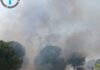 Nuevo incendio en el término de Santa Elena