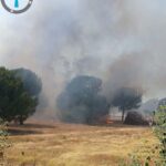 Nuevo incendio en el término de Santa Elena