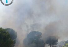 Nuevo incendio en el término de Santa Elena