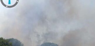 Nuevo incendio en el término de Santa Elena