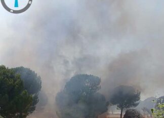 Nuevo incendio en el término de Santa Elena