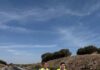 Mejora en la carretera A-301