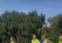 La Junta reabre la A-303 (Guarromán-Linares) tras las obras de emergencia para la reconstrucción del puente sobre el Guadiel