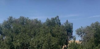 La Junta reabre la A-303 (Guarromán-Linares) tras las obras de emergencia para la reconstrucción del puente sobre el Guadiel