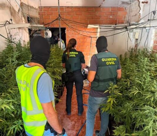 La Guardia Civil desmantela una plantación de marihuana y un punto de venta de droga en Baños de la Encina